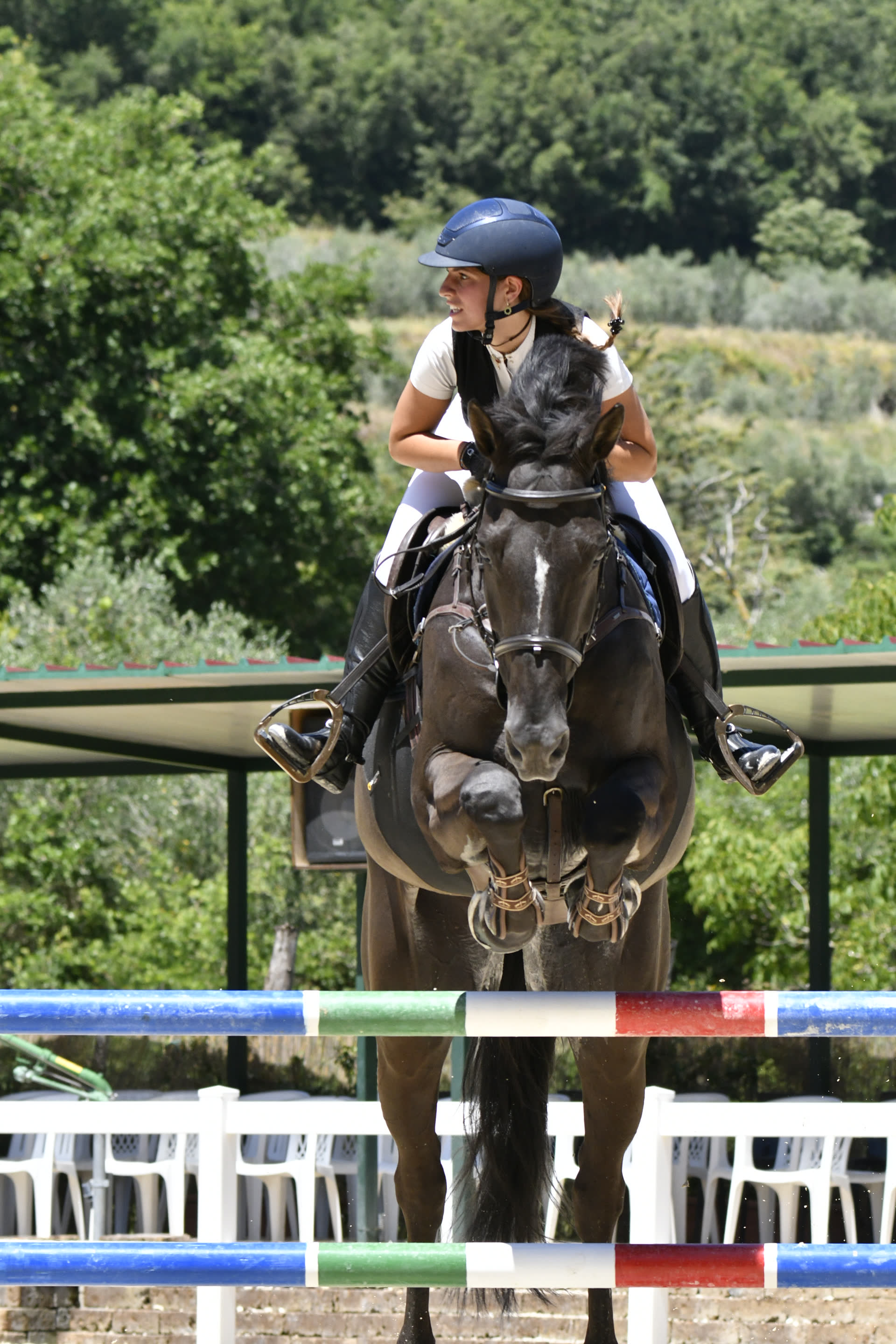Cavaliere in gara
