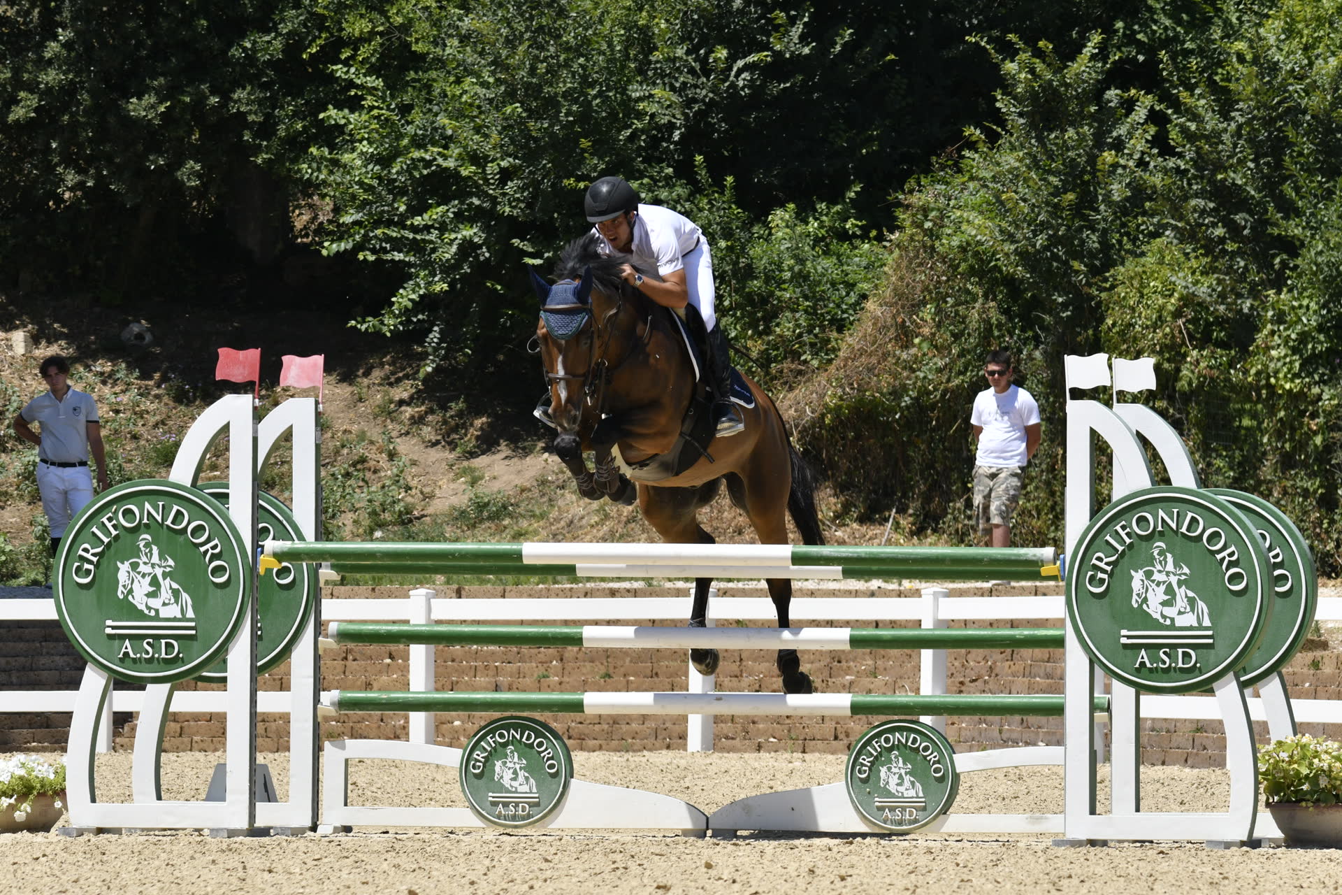 Stage di Dressage