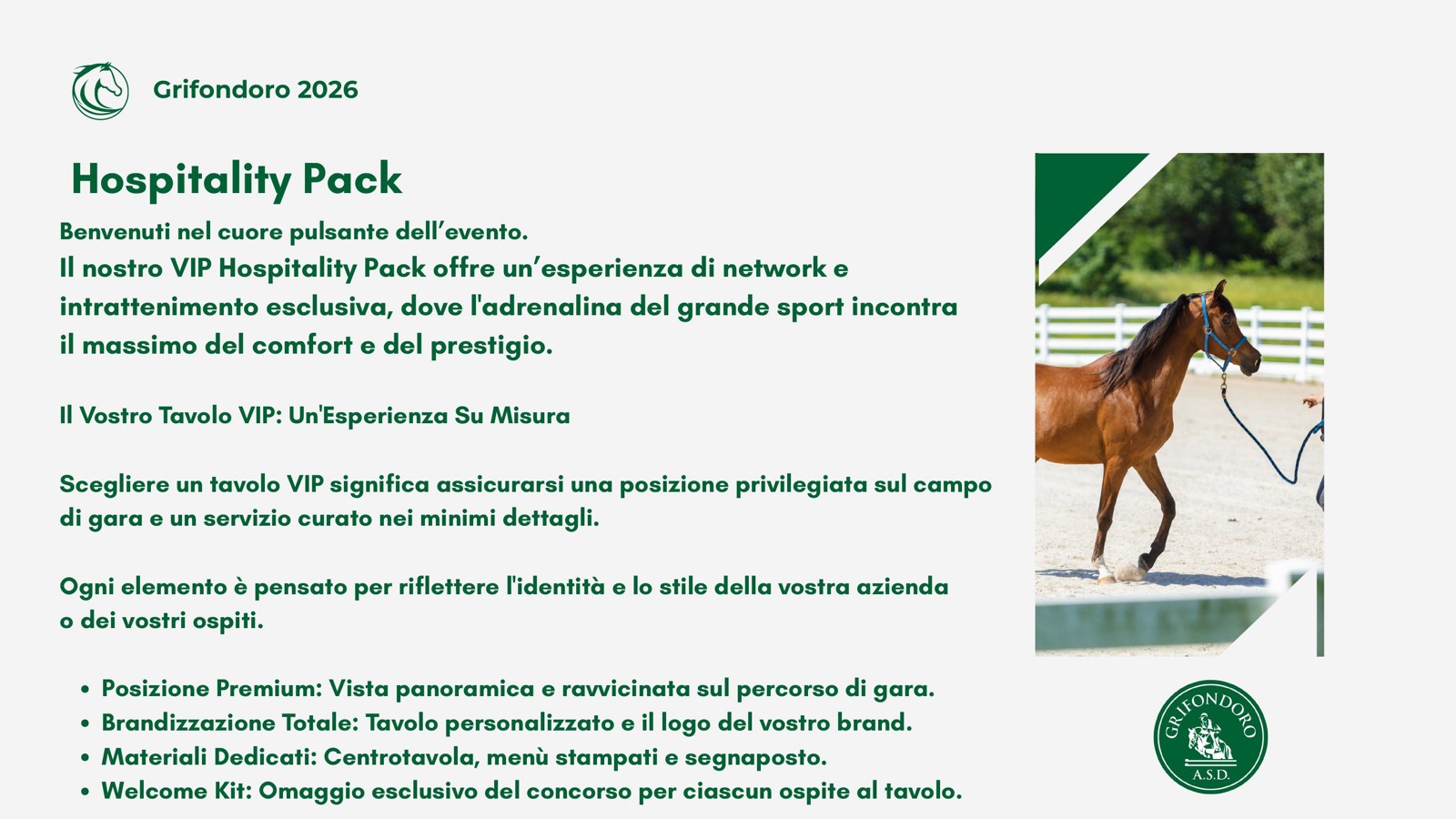 Programma grafico — pagina 4 di 10